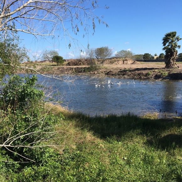 Meet your Posher, Kim - Picture 5 of 5